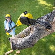 Best Pest Control for Lawns  in Hudson, WI